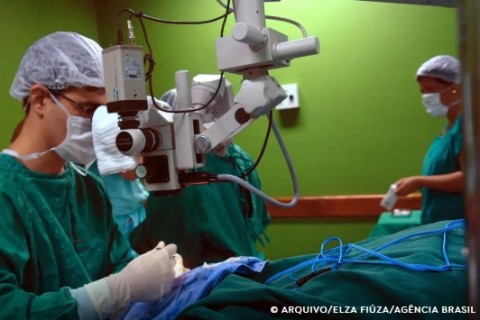 Exames são importantes para diagnóstico do câncer de intestino