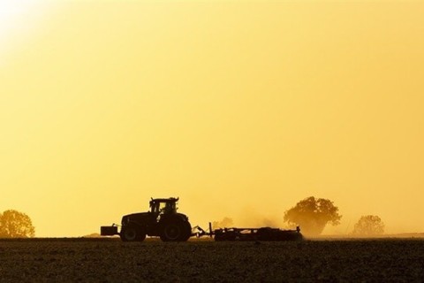 Valor Bruto da Produção Agropecuária alcança R$ 1,4 trilhão em maio