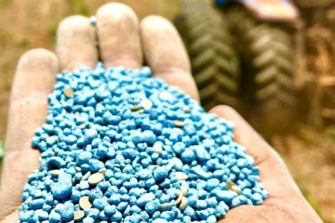 Guerra no Irã desencadeia crise em momento crítico para agricultura portuguesa