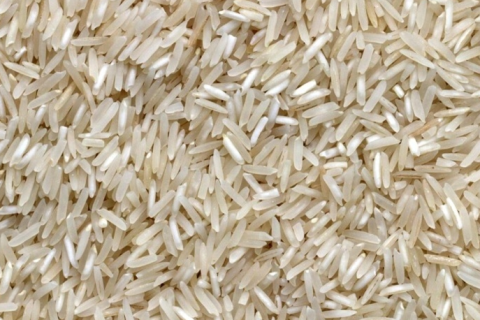 O arroz está sob risco