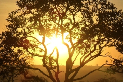 Clima: o que esperar para o mês de maio?