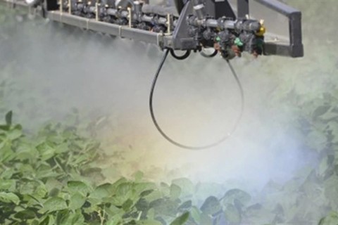 Justiça amplia restrições ao uso de herbicida 2,4-D