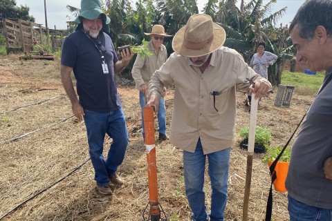 Sistema de Plantio Direto de Hortaliças promove redução do uso de água no campo