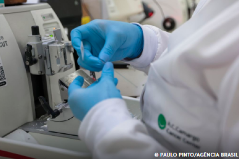 SUS inclui nova terapia para pacientes adultos com leucemia mieloide