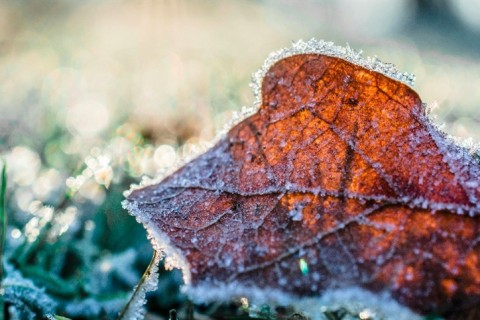 Frente fria provoca queda acentuada de temperatura nesta semana