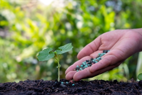 Importação de fertilizantes cresce 10,9% no 1º trimestre