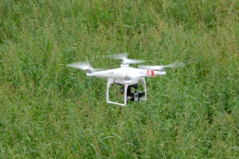 Drones agrícolas trazem precisão e economia