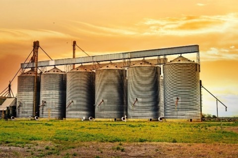 Safra de 360 milhões de toneladas amplia pressão sobre os silos brasileiros