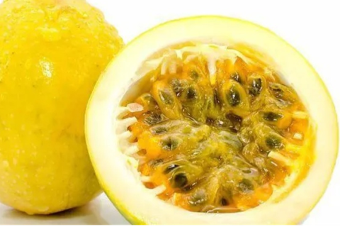Embrapa anuncia novas cultivares