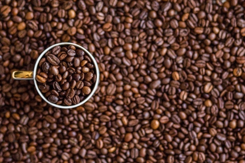 Brasil exporta 42,9 milhões de sacas de café em 11 meses