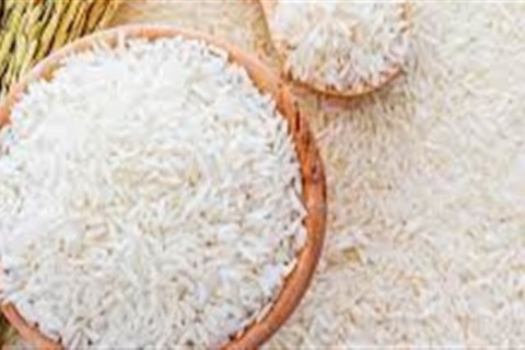 Colheita de arroz avança e entra em fase decisiva