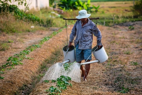 SP: emprego no agronegócio atinge 28 milhões em 2024