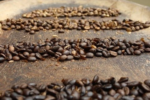 Exportações de café batem recorde e somam US$ 11,09 bilhões