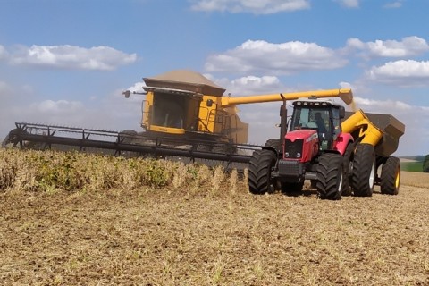 Brasil amplia área cultivada e projeta safra de 354,8 milhões de toneladas