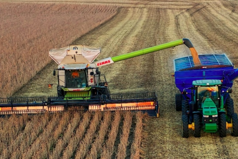 Mato Grosso tem boas perspectivas para a safra