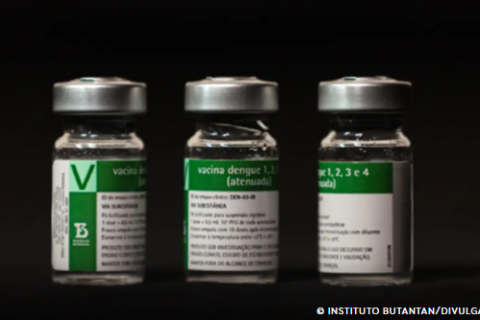 Aplicação da vacina da dengue do Butantan começará a partir do dia 17