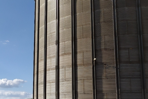 Grãos de produtores em Recuperação Judicial não podem ser tomados